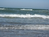 IMG_5481_800x533.JPG