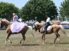 IMG_3240_800x533.JPG