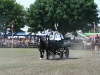 IMG_3372_800x533.JPG