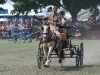 IMG_3389_800x533.JPG